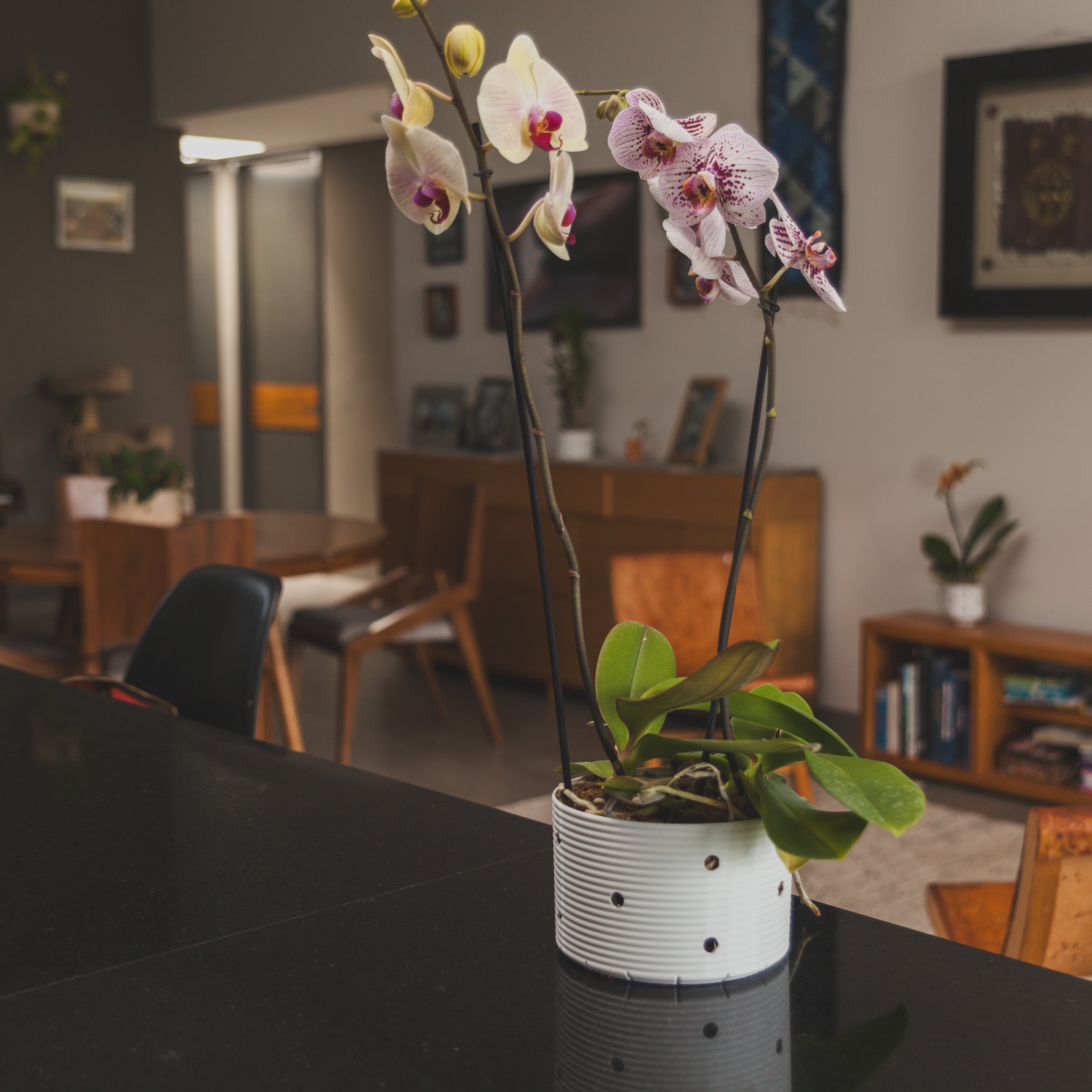 Macetas PET Blanco