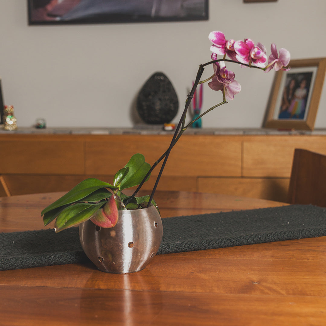 El hogar de las Orquídeas