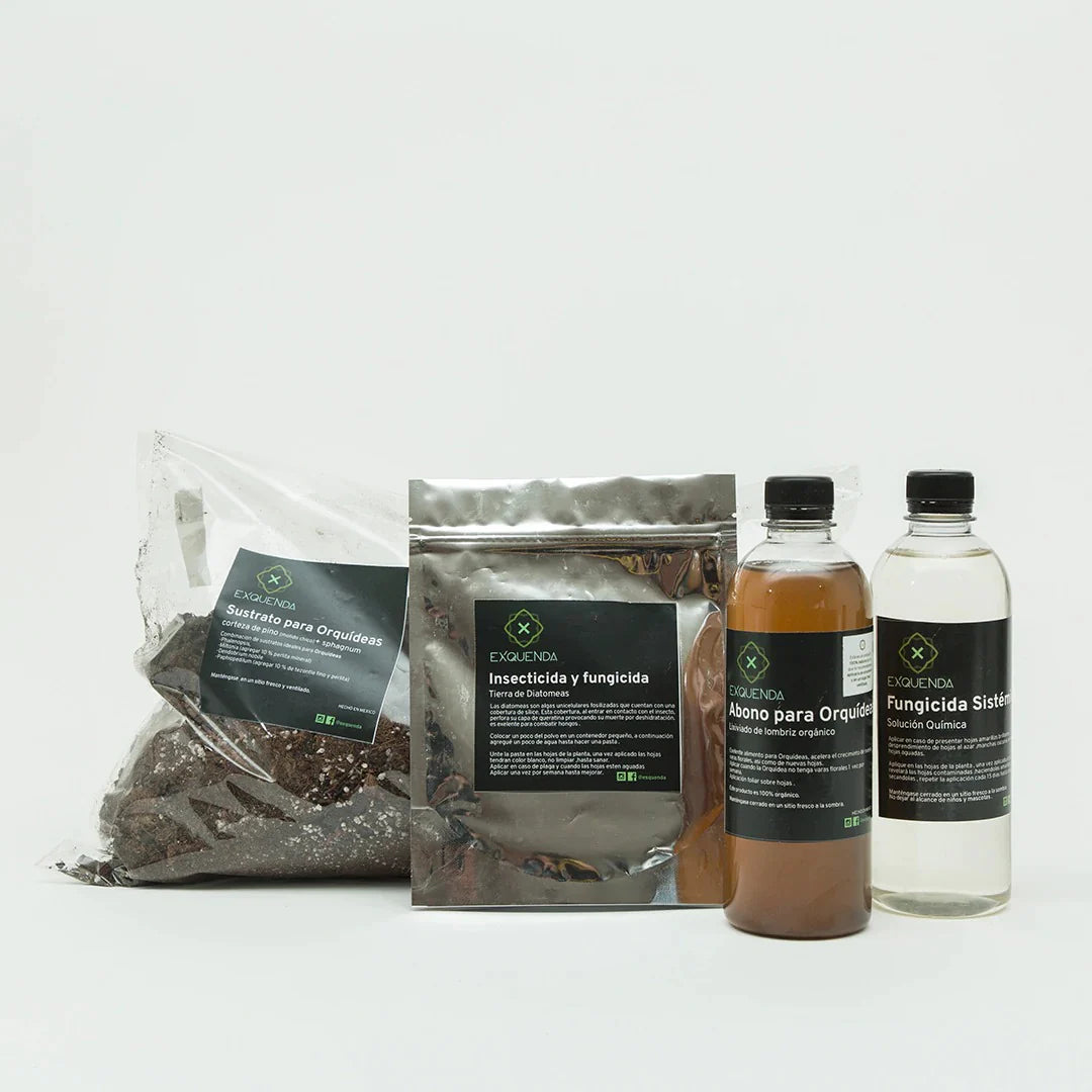 Cuidado de orquídeas