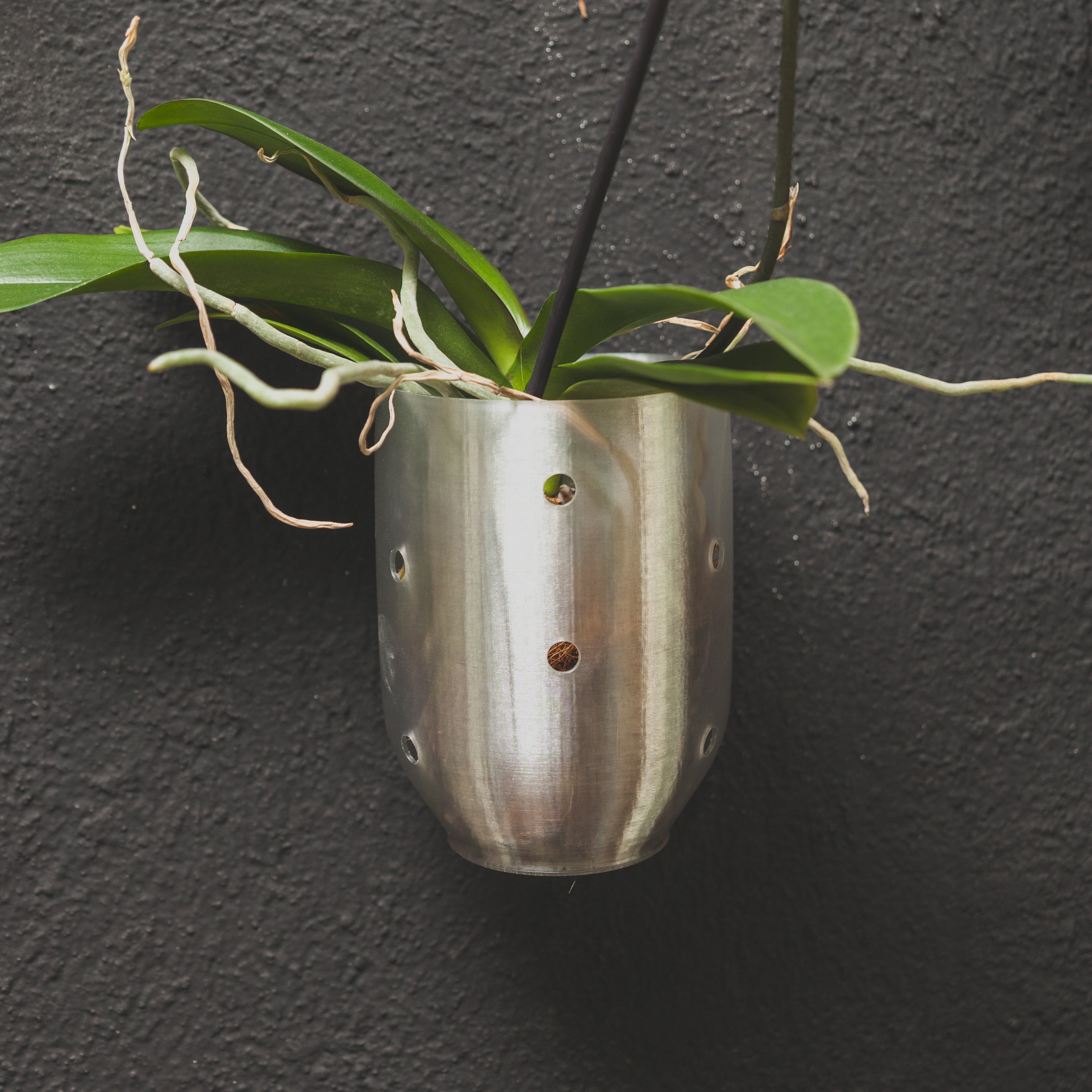 Maceta Sequoia PET