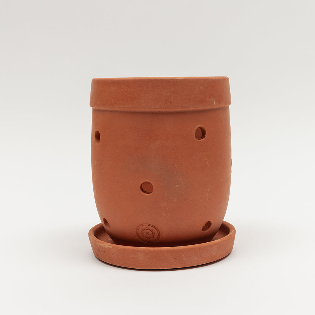 Aconcagua Clay Pot