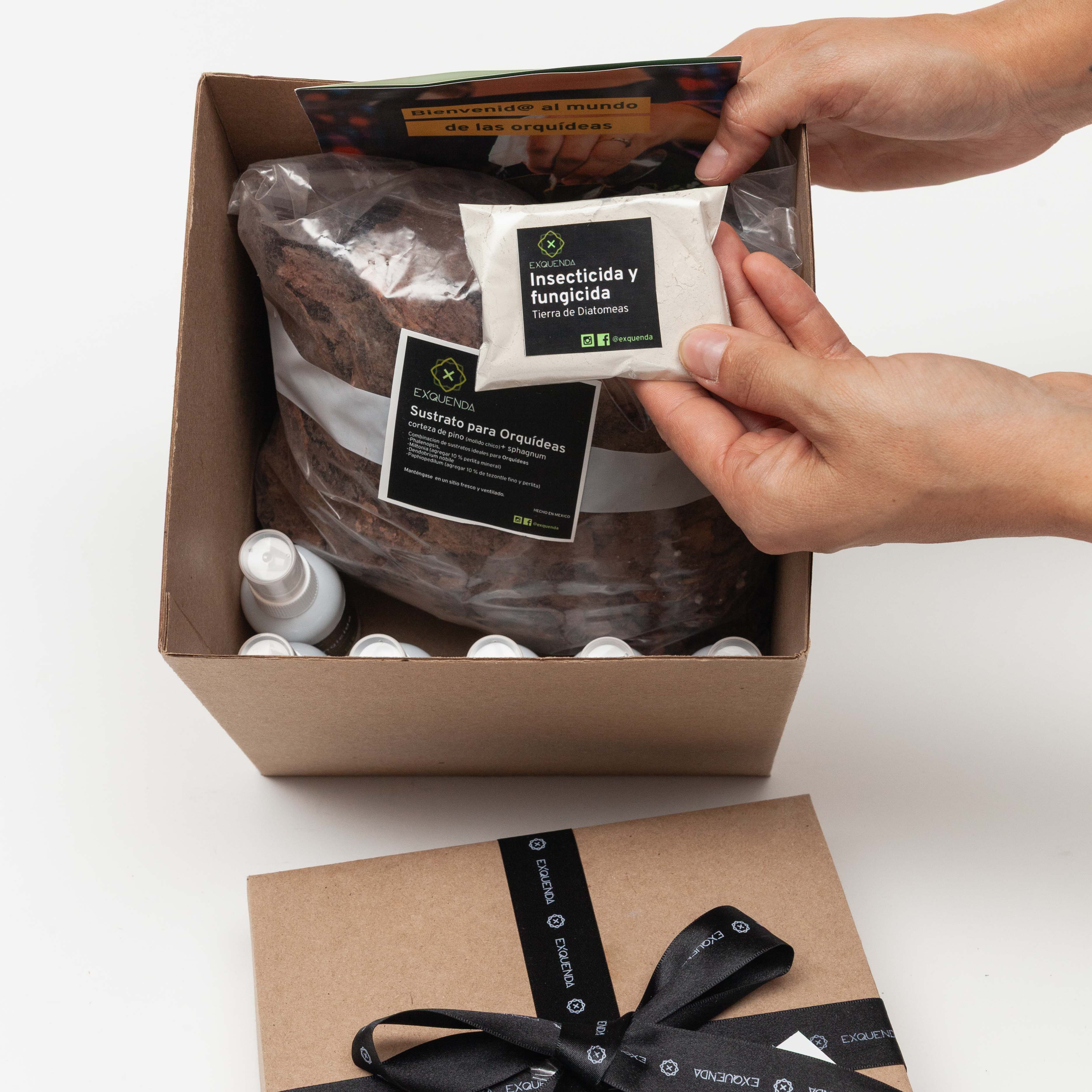 Kit Regalo