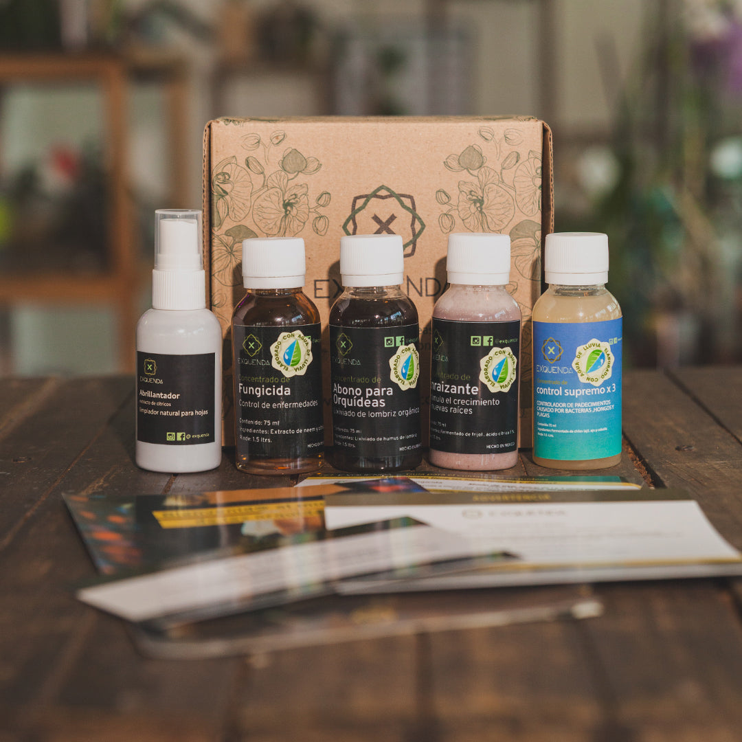 Nuevo EuroKit eco preparado con agua de lluvia