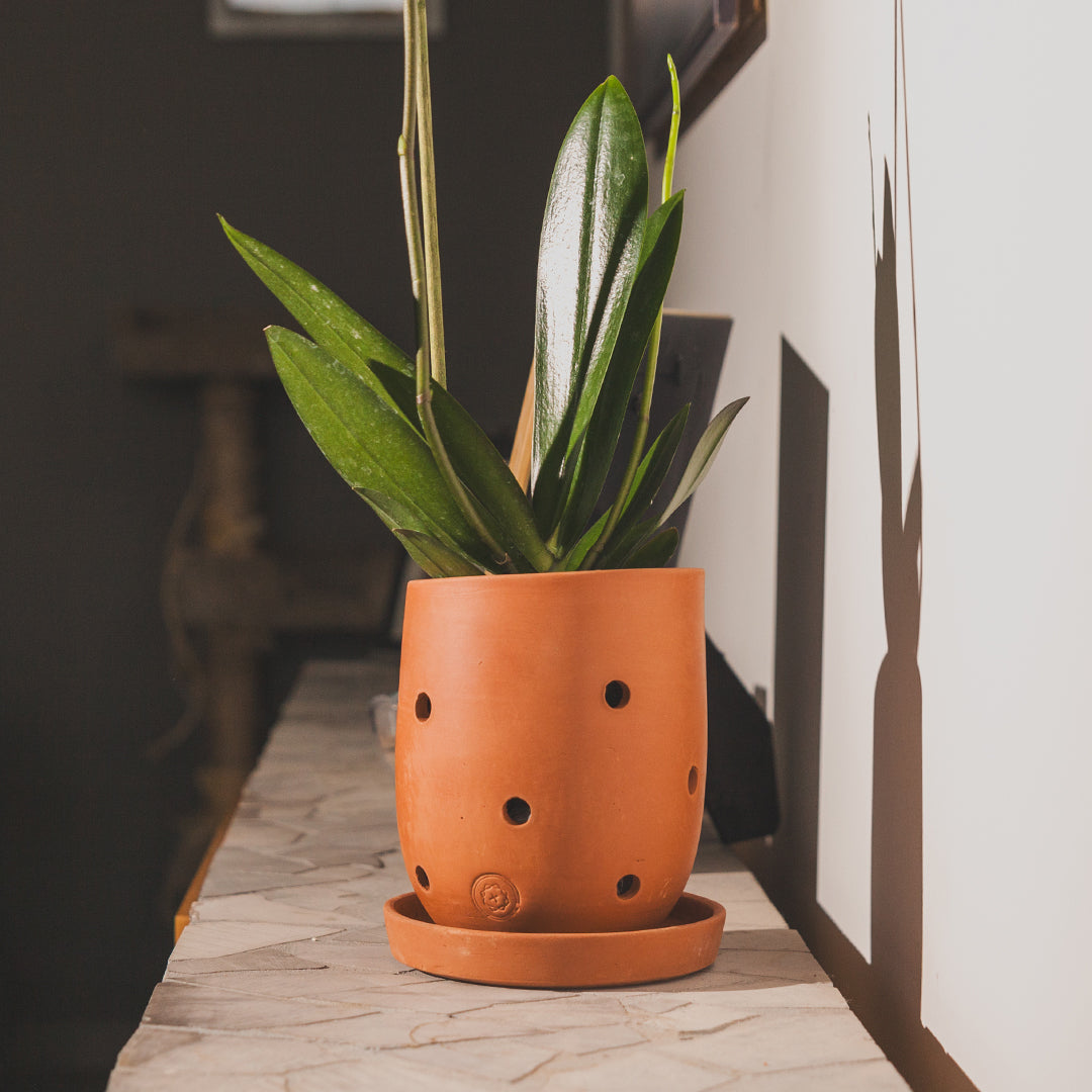 Aconcagua Clay Pot