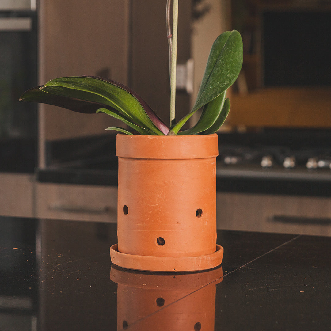 Aconcagua Clay Pot