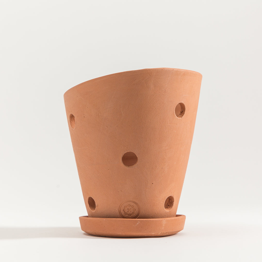 Hikari Clay Pot