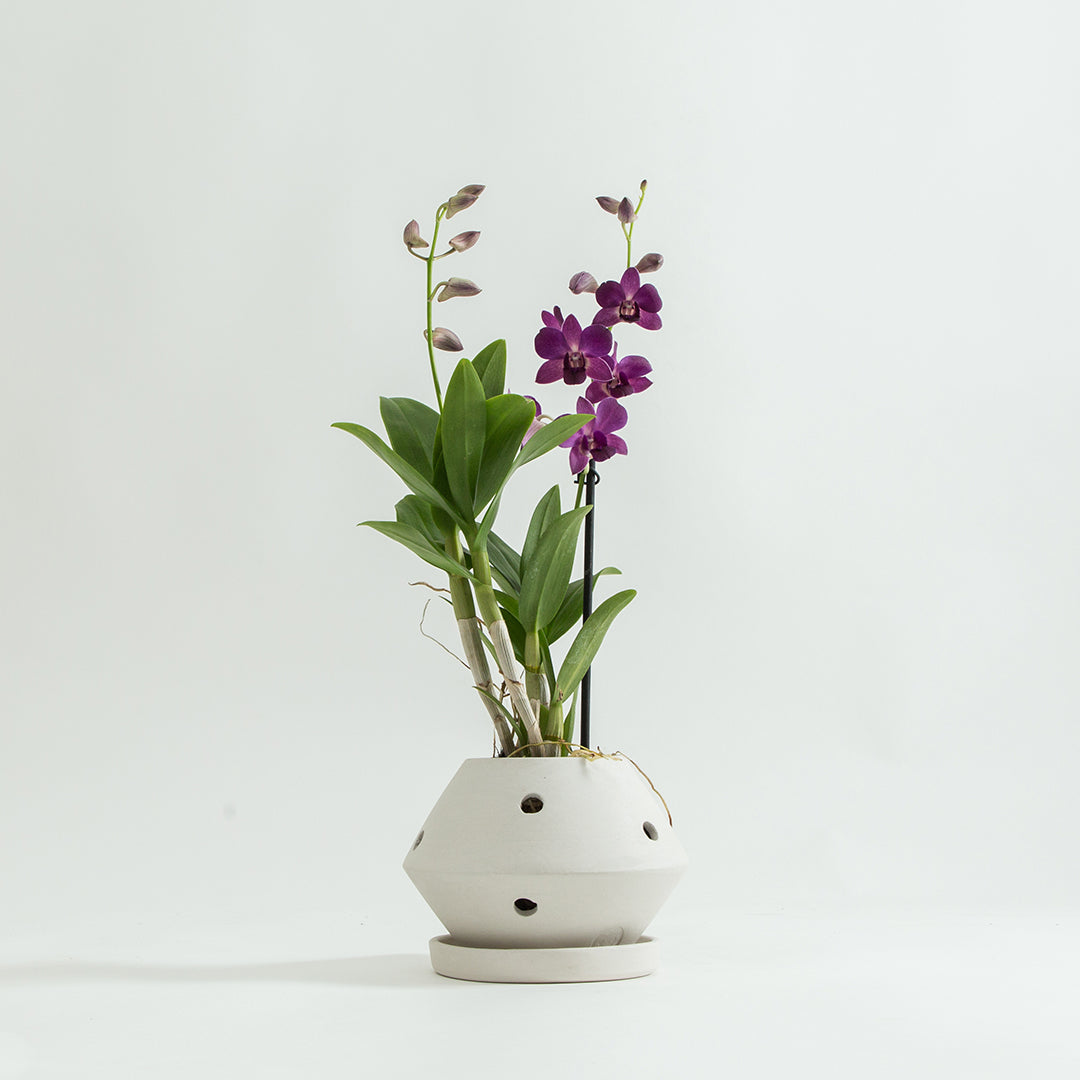 White Hanami Flower Pot