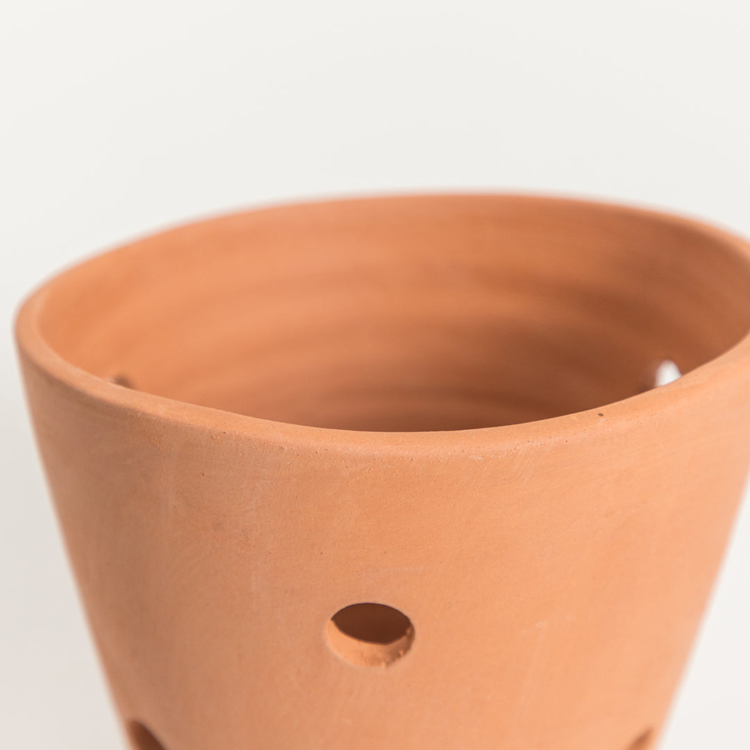 Hikari Clay Pot